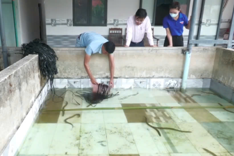 Hiệu quả vay vốn từ ngân hàng chính sách xã hội của đoàn viên thanh niên xã Yang Tao